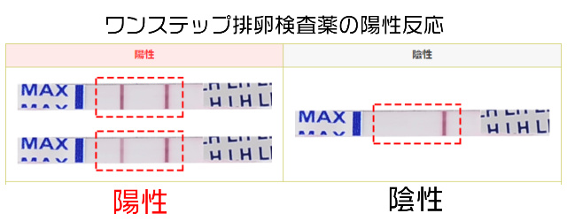 ワンステップ排卵検査薬クリア